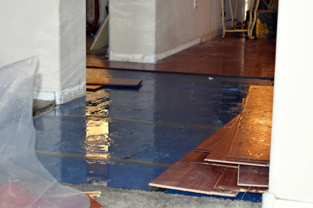 Professional Water Damage Restoration technician working in Inwood, IA